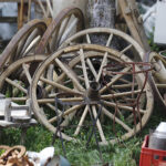 Giełda kolekcjonerska w Wojewódzkim Domu Kultury / Jarosław Kubalski / Radio Kielce