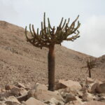 Peru / Małgorzata Anna Jóźwiak i Marek Jóźwiak