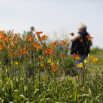 Kielce. Darmowe zwiedzanie Ogrodu Botanicznego / Jarosław Kubalski / Radio Kielce