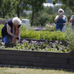 Kielce. Darmowe zwiedzanie Ogrodu Botanicznego / Jarosław Kubalski / Radio Kielce