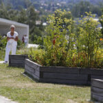 Kielce. Darmowe zwiedzanie Ogrodu Botanicznego / Jarosław Kubalski / Radio Kielce