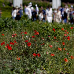 Kielce. Darmowe zwiedzanie Ogrodu Botanicznego / Jarosław Kubalski / Radio Kielce