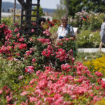 Kielce. Darmowe zwiedzanie Ogrodu Botanicznego / Jarosław Kubalski / Radio Kielce