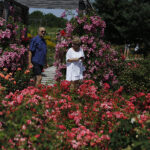 Kielce. Darmowe zwiedzanie Ogrodu Botanicznego / Jarosław Kubalski / Radio Kielce
