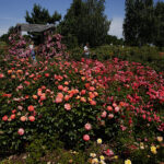 Kielce. Darmowe zwiedzanie Ogrodu Botanicznego / Jarosław Kubalski / Radio Kielce