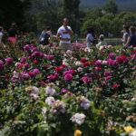 Kielce. Darmowe zwiedzanie Ogrodu Botanicznego / Jarosław Kubalski / Radio Kielce