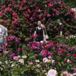 Kielce. Darmowe zwiedzanie Ogrodu Botanicznego / Jarosław Kubalski / Radio Kielce