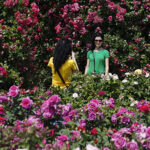 Kielce. Darmowe zwiedzanie Ogrodu Botanicznego / Jarosław Kubalski / Radio Kielce