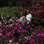 Kielce. Darmowe zwiedzanie Ogrodu Botanicznego / Jarosław Kubalski / Radio Kielce