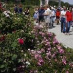 Kielce. Darmowe zwiedzanie Ogrodu Botanicznego / Jarosław Kubalski / Radio Kielce