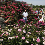 Kielce. Darmowe zwiedzanie Ogrodu Botanicznego / Jarosław Kubalski / Radio Kielce