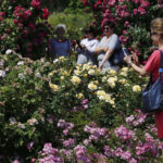 Kielce. Darmowe zwiedzanie Ogrodu Botanicznego / Jarosław Kubalski / Radio Kielce