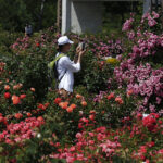 Kielce. Darmowe zwiedzanie Ogrodu Botanicznego / Jarosław Kubalski / Radio Kielce