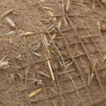 Pustynia Tengger / Małgorzata Anna Jóźwiak i Marek Jóźwiak