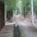 Pustynia Tengger / Małgorzata Anna Jóźwiak i Marek Jóźwiak