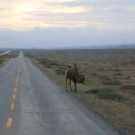 Pustynia Tengger / Małgorzata Anna Jóźwiak i Marek Jóźwiak