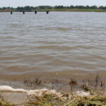 Zbiornik wypoczynkowo-rekreacyjny w Kazimierzy Wielkiej / Marta Gajda / Radio Kielce