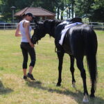 X Mistrzostwa Polski Koni Arabskich w Michałowie. Półfinały / Marta Gajda / Radio Kielce