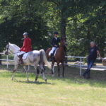 X Mistrzostwa Polski Koni Arabskich w Michałowie. Półfinały / Marta Gajda / Radio Kielce