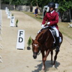 X Mistrzostwa Polski Koni Arabskich w Michałowie. Półfinały / Marta Gajda / Radio Kielce