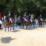 X Mistrzostwa Polski Koni Arabskich w Michałowie. Półfinały / Marta Gajda / Radio Kielce