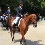 X Mistrzostwa Polski Koni Arabskich w Michałowie. Półfinały / Marta Gajda / Radio Kielce