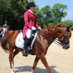 X Mistrzostwa Polski Koni Arabskich w Michałowie. Półfinały / Marta Gajda / Radio Kielce