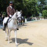 X Mistrzostwa Polski Koni Arabskich w Michałowie. Półfinały / Marta Gajda / Radio Kielce