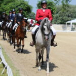 X Mistrzostwa Polski Koni Arabskich w Michałowie. Półfinały / Marta Gajda / Radio Kielce