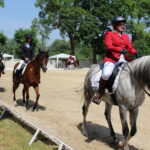 X Mistrzostwa Polski Koni Arabskich w Michałowie. Półfinały / Marta Gajda / Radio Kielce