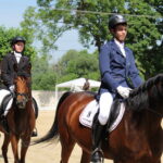 X Mistrzostwa Polski Koni Arabskich w Michałowie. Półfinały / Marta Gajda / Radio Kielce