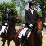 X Mistrzostwa Polski Koni Arabskich w Michałowie. Półfinały / Marta Gajda / Radio Kielce