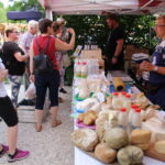 Wigilia św. Jana w Olejarni Zagłoby / Marta Gajda / Radio Kielce