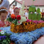 Konkurs na najpiękniejszy wianek rozpoczął obchody Nocy Świętojańskiej w Opatowcu / Marta Gajda / Radio Kielce