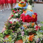 Konkurs na najpiękniejszy wianek rozpoczął obchody Nocy Świętojańskiej w Opatowcu / Marta Gajda / Radio Kielce