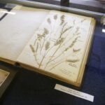 08.06.2019 Kielce. Archiwum państwowe. Dzień otwarty. Wystawa archiwaliów / Jarosław Kubalski / Radio Kielce