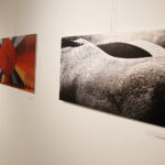 14.06.2019 Kielce. BWA. Wystawa włoskiej fotografii / Jarosław Kubalski / Radio Kielce