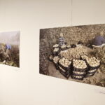 14.06.2019 Kielce. BWA. Wystawa włoskiej fotografii / Jarosław Kubalski / Radio Kielce