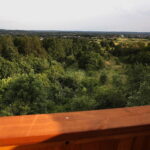 19.06.2019 Daleszyce. Wieża widokowa. Widok z wieży / Jarosław Kubalski / Radio Kielce