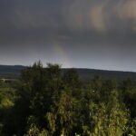 19.06.2019 Daleszyce. Wieża widokowa. Widok z wieży / Jarosław Kubalski / Radio Kielce