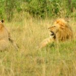 Kenia / Dominika Zaręba