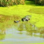 Kenia / Dominika Zaręba