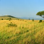 Kenia / Dominika Zaręba