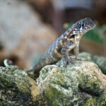 Kuba / Dominika Zaręba