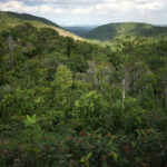 Kuba / Dominika Zaręba