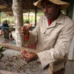 Kuba / Dominika Zaręba