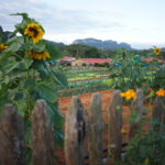 Kuba / Dominika Zaręba