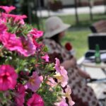 Bodzentyn. Plenerowy Raport Dnia / Krzysztof Bujnowicz / Radio Kielce