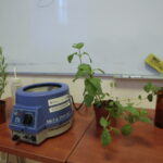 Chem-Noc w Instytucie Chemii Uniwersytetu Jana Kochanowskiego / Marzena Mąkosa / Radio Kielce