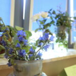 Chem-Noc w Instytucie Chemii Uniwersytetu Jana Kochanowskiego / Marzena Mąkosa / Radio Kielce